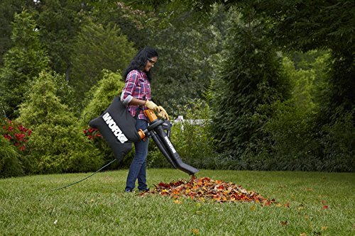 Best Lawn Blower For Leaf Blowing And Vacuuming: Top Picks Best Lawn Blower For Leaf Blowing And Vacuuming