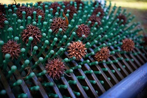 Best Lawn Sweeper For Sweet Gum Balls: Top Picks & Tips Best Lawn Sweeper For Sweet Gum Balls