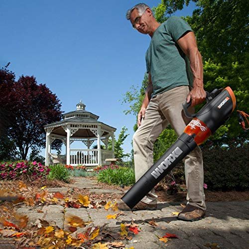 Best Lawn Blower For Garden Paths: Top Picks For Walkways Best Lawn Blower For Garden Paths