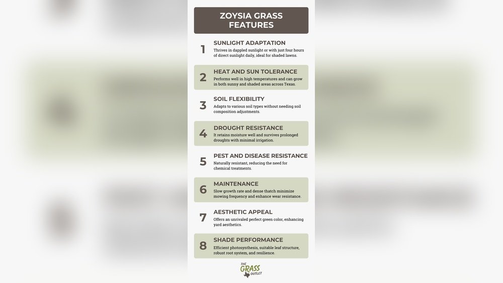 Does Zoysia Grass Grow Well in Shade? Expert Tips Revealed