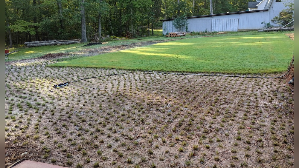How to Plug Bermuda Grass: Easy Steps for a Lush Lawn