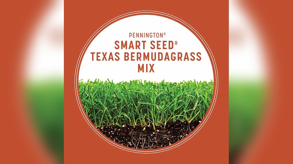 How to Seed Bermuda Grass in Texas: Ultimate Guide for Lush Lawns