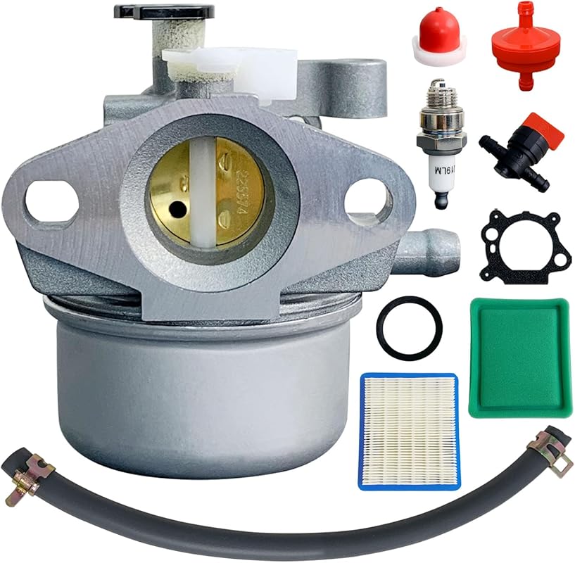 Ruixing OEM 799866 Carburetor for Briggs and Stratton 6.75hp 190cc 675
