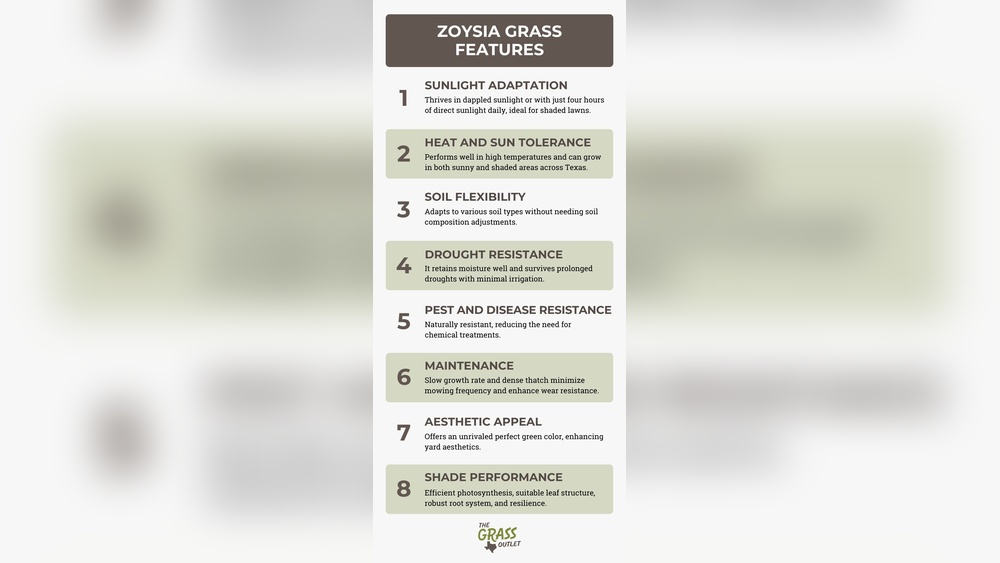 What Zoysia Grass is Most Shade Tolerant: Top Picks Revealed