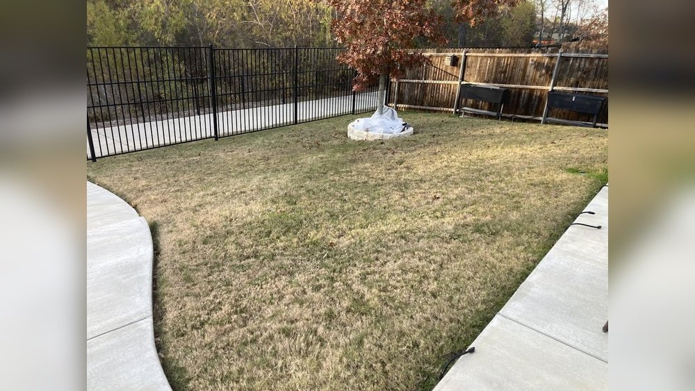 When Does Bermuda Grass Go Dormant in Texas: Key Seasonal Insights