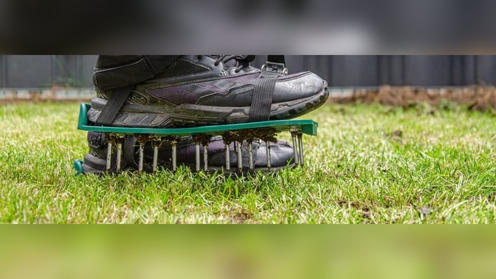 When Should Zoysia Grass Be Aerated: Ultimate Timing Guide