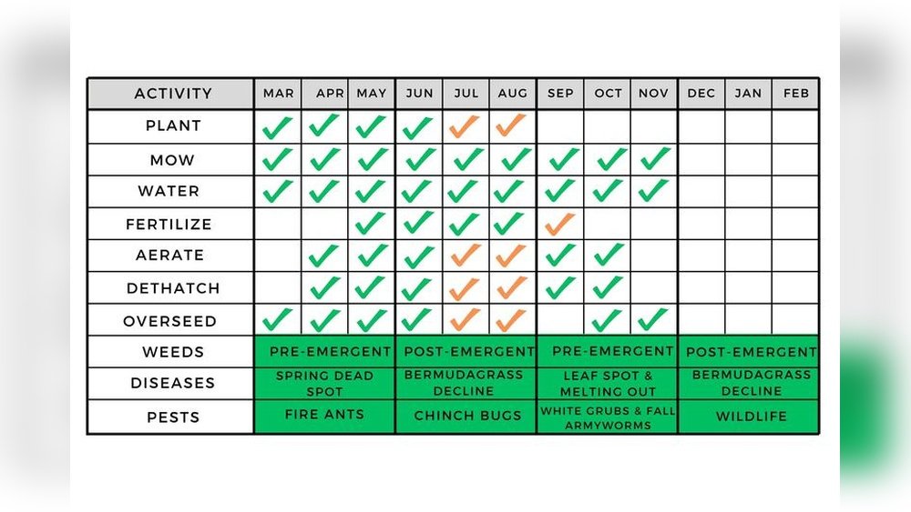 When to Fertilize Bermuda Grass in Texas: Ultimate Growth Guide