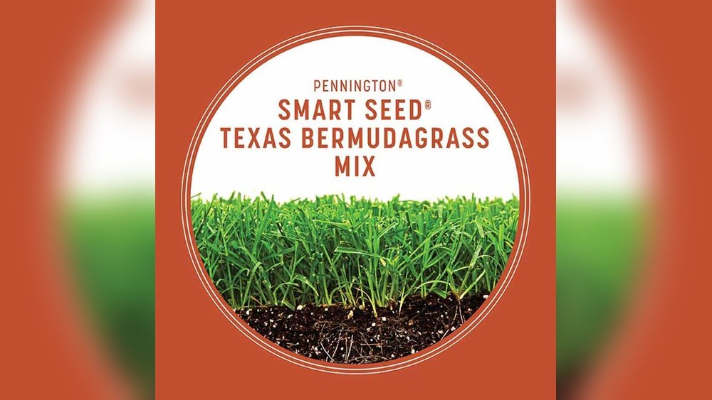 When to Seed Bermuda Grass in Texas: Expert Timing Tips