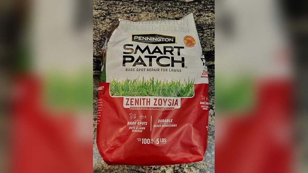 Why is Zoysia Grass Seed Hard to Find: Top Reasons Revealed