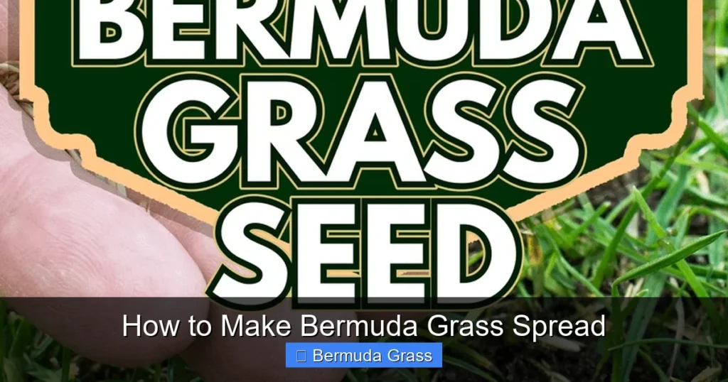How to Make Bermuda Grass Spread