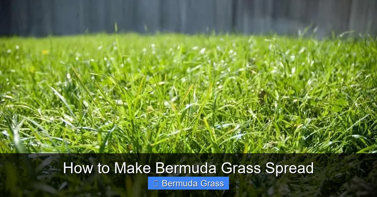 How to Make Bermuda Grass Spread