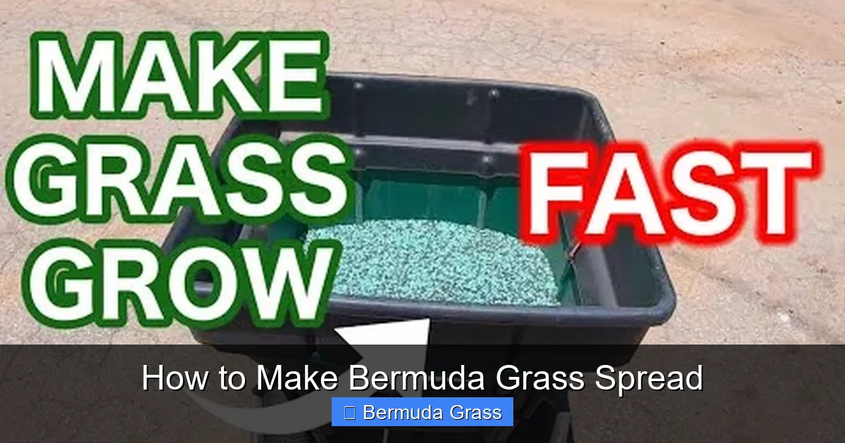 How to Make Bermuda Grass Spread