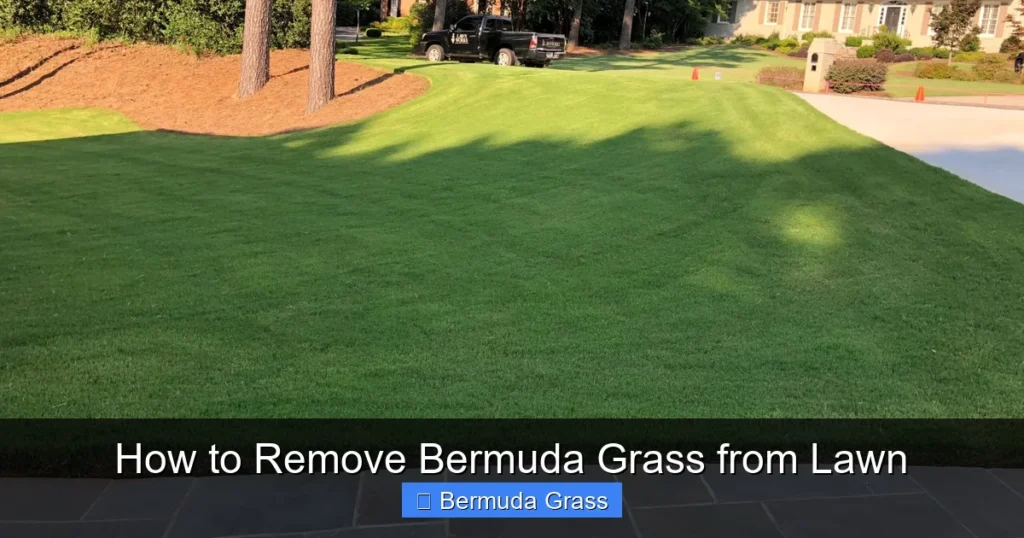How to Remove Bermuda Grass from Lawn