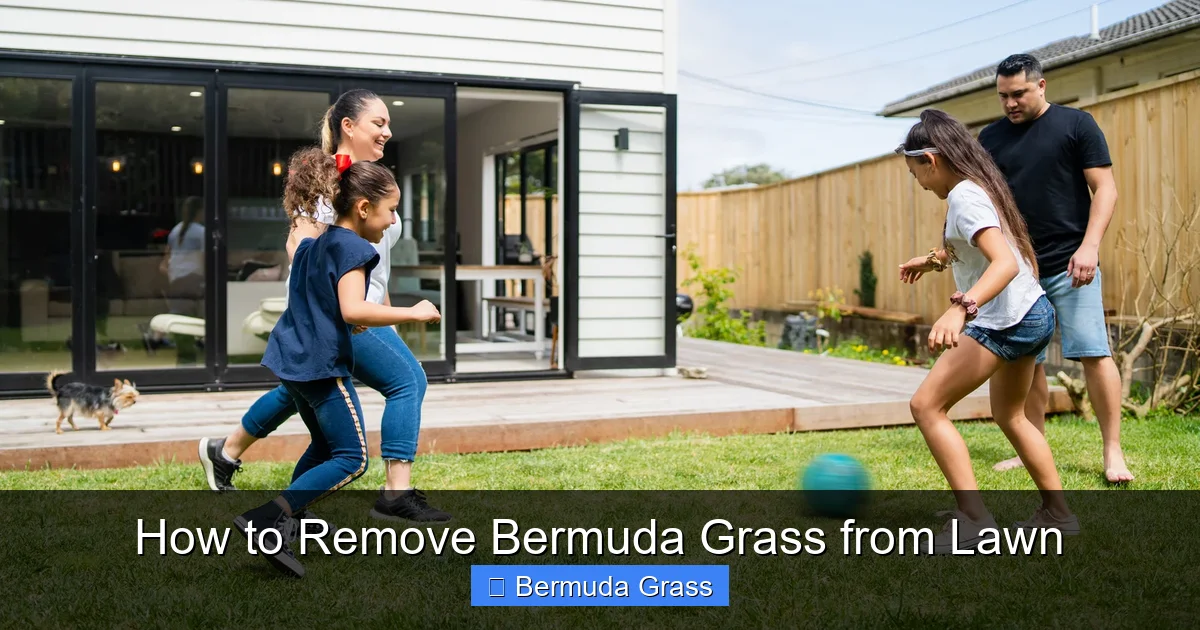 How to Remove Bermuda Grass from Lawn
