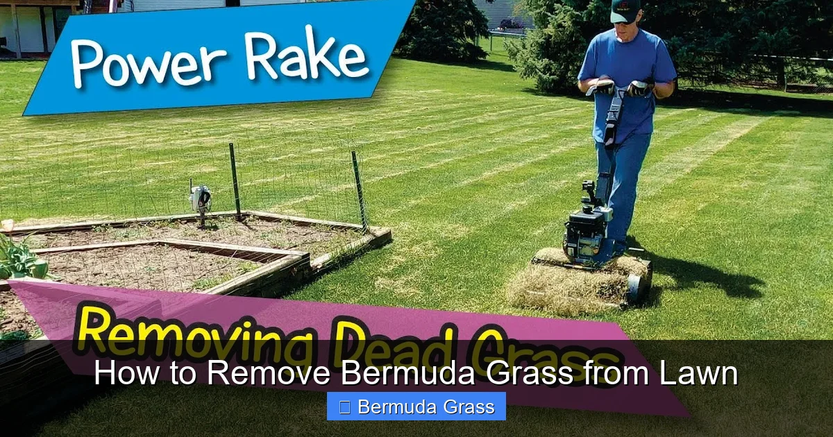 How to Remove Bermuda Grass from Lawn