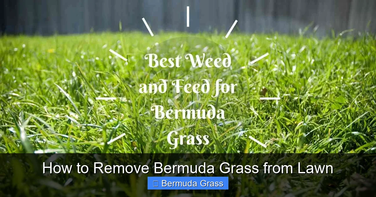 How to Remove Bermuda Grass from Lawn